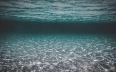 La filtration d’eau de mer avec les filtres automatiques Hectron