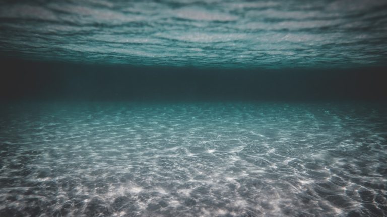 La filtration d’eau de mer avec les filtres automatiques Hectron