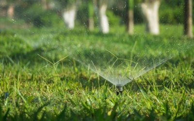 Les filtres automatiques Hectron pour l’arrosage et la micro-irrigation