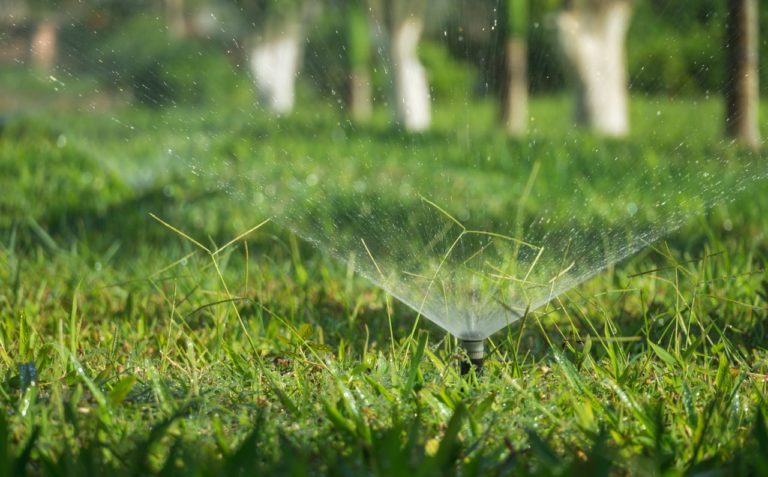 Pourquoi les filtres automatiques sont essentiels pour les systèmes d’arrosage et la micro-irrigation ?