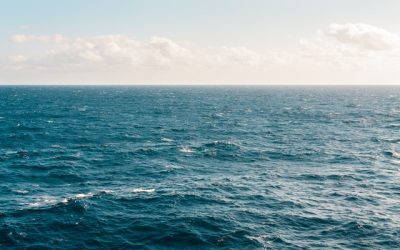 Les réalisations de filtration d’eau de mer avec des filtres automatiques Hectron
