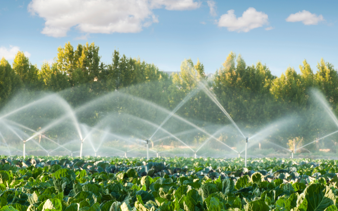 Agricultural irrigation and micro-irrigation: preventing system clogging