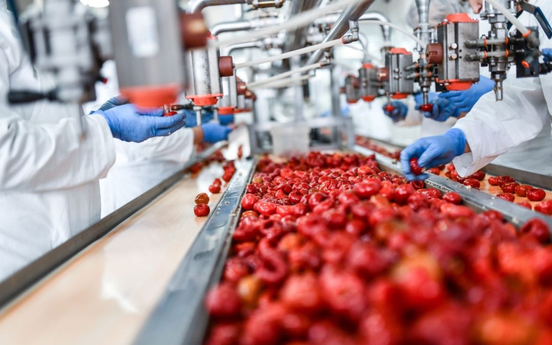 Food and Beverage Industry: Filtration for Washing and Processing