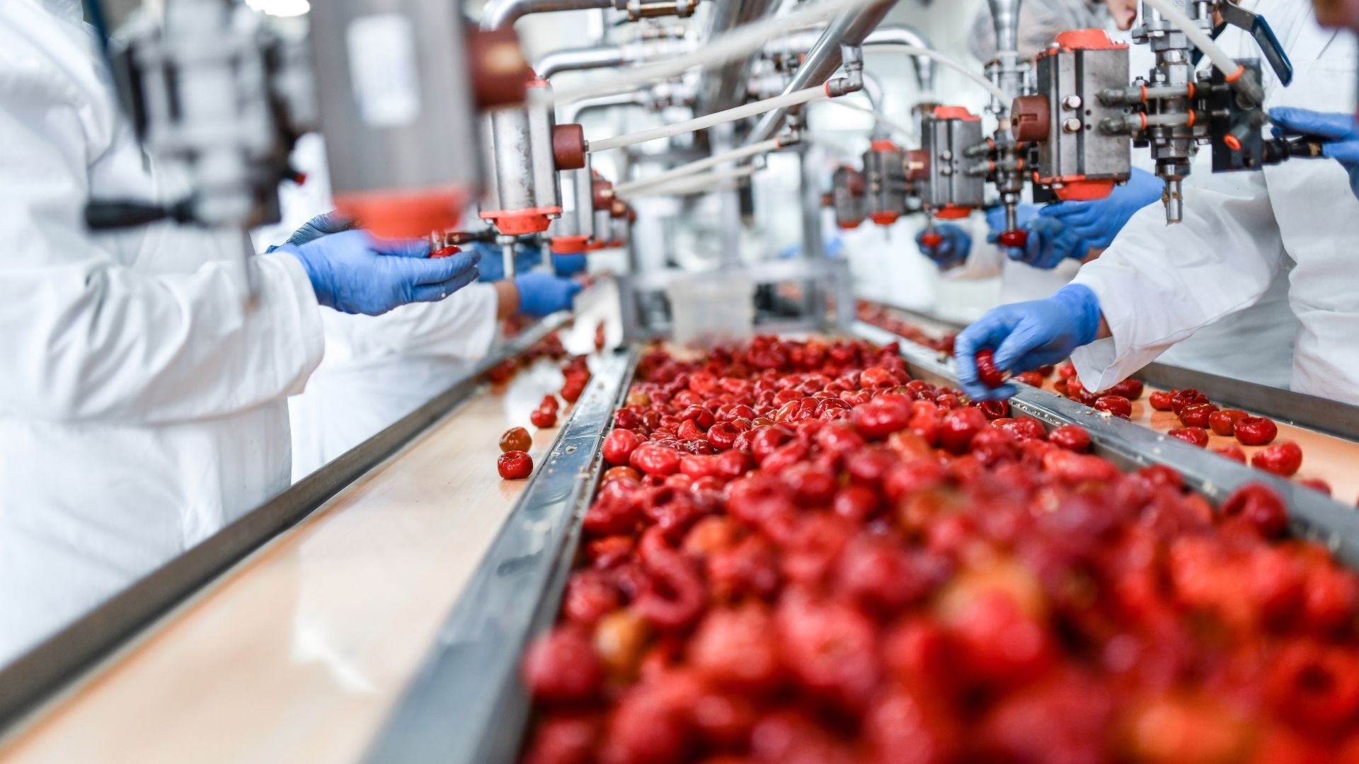 Industrie-agroalimentaire-filtration-pour-le-lavage-et-la-transformation